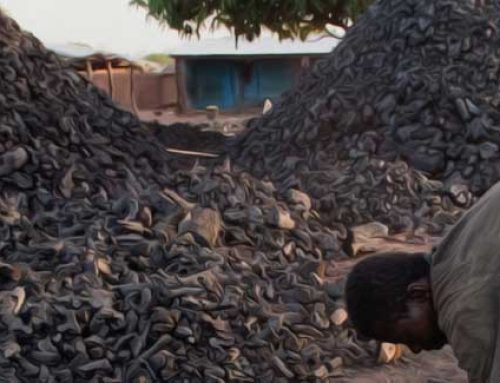 How Biomass Charcoal Could Help Save Ugandan Forests